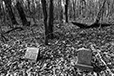 At Rest 16